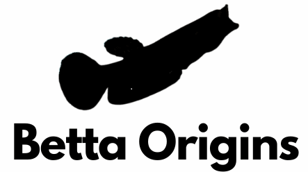 Betta Origins